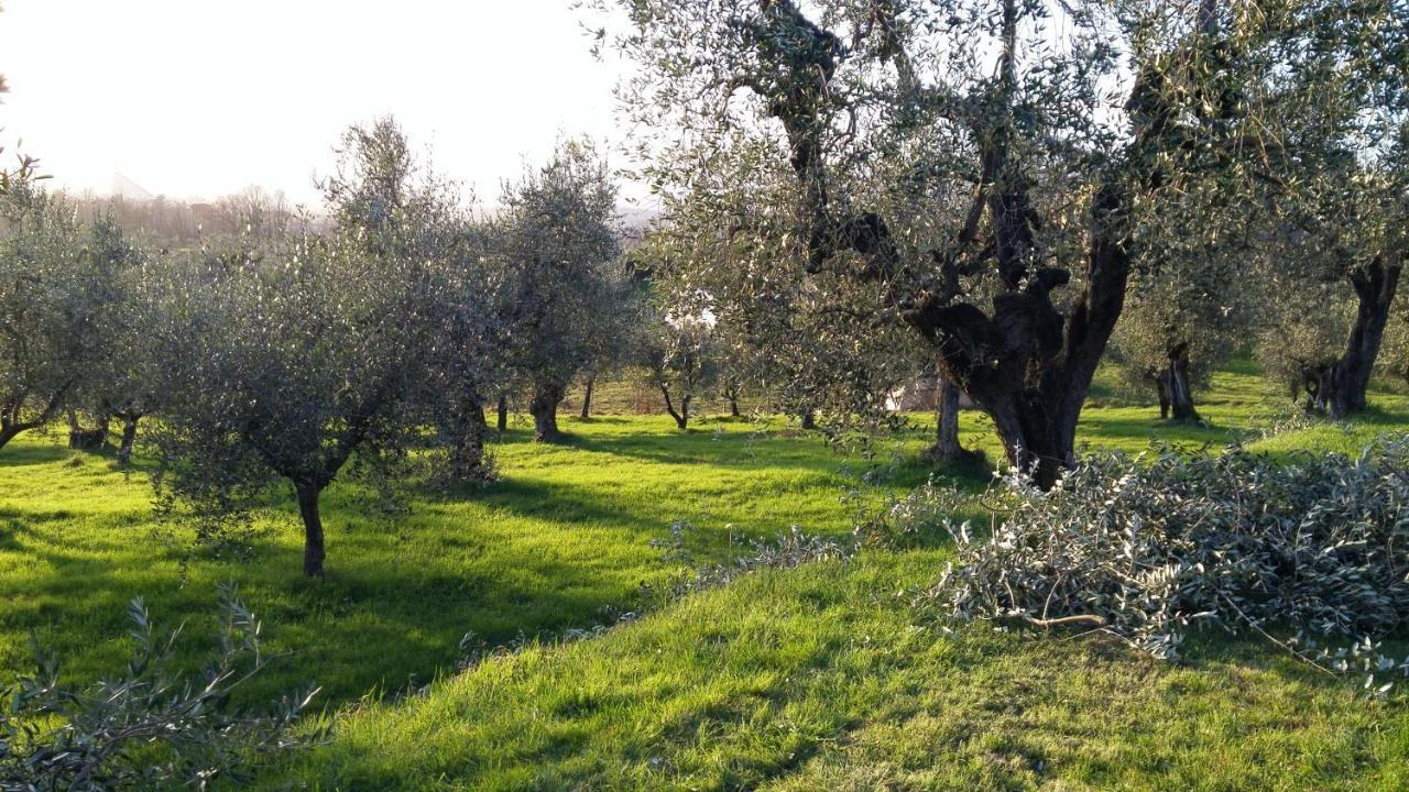 Casa "Il Brio" Vila Pistoia Exterior foto
